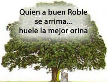 frases_roble_pis