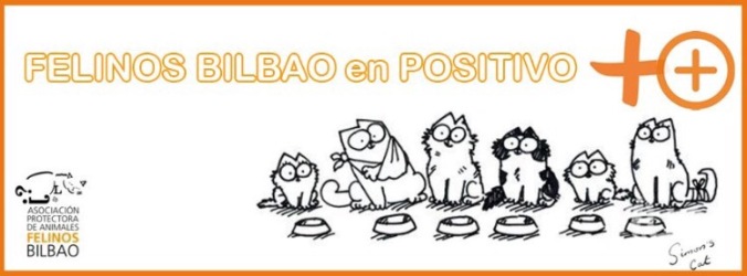 Página de Felinos Bilbao En Positivo 